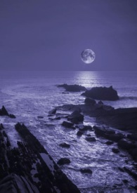 暗夜(NP,bg,含gl)